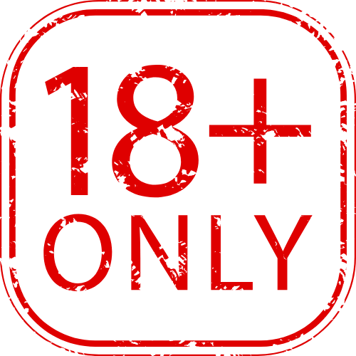 Dayan1148960